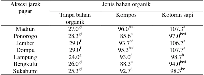 Tabel  5  Diameter tajuk (cm) 7 aksesi jarak pagar umur 8 BST yang diberikan bahan  organik  