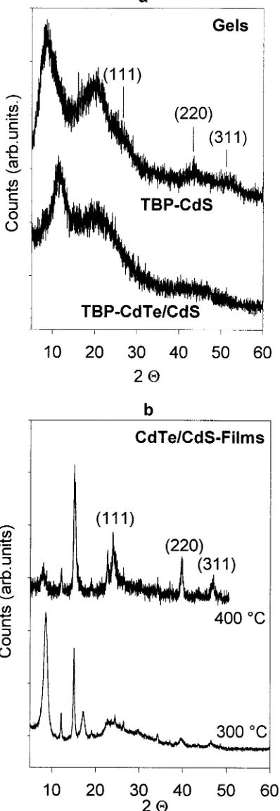 Figure 3. Experimental X-ray diffraction patterns of CdS and CdS/CdTe gels (panel a) as well as of CdS/CdTe films thermally annealedfor 1 h at 300-400 °C (panel b).