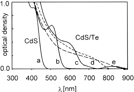Figure 6. Photoluminescence spectra (recorded at λex ) 450 nm) ofthe TBP-stabilized CdTe/CdS colloids before and after the addition ofan excess sulfide (spectrum b)