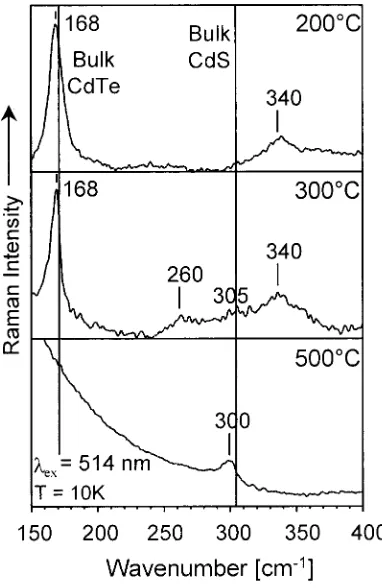 Figure 8. Raman spectra of thermally annealed CdTe/CdS films as afunction of sintering temperature