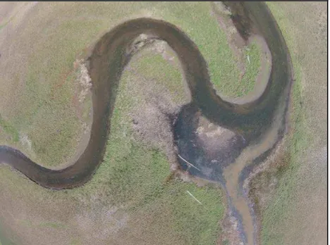 Figure 3. Sample image from the DJI Phantom 2 Vision+ wide-angle camera, flying 90 metres above ground level