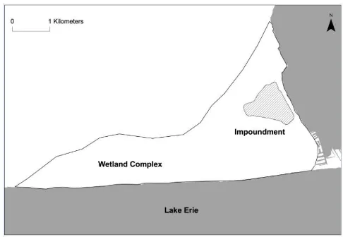 Figure 1: Our study took place in an impoundment (stipled) along the northern shore of Lake Erie