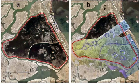 Figure 2:  a) Photo of the 2010 SWOOP image alone.  b) Photo showing the UAV-acquired mosaic image on top of the 2010 SWOOP image