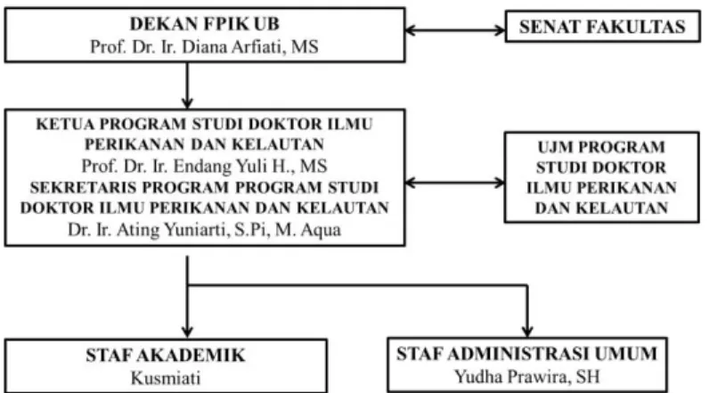 Gambar 1. Struktur Organisasi Program Studi Doktor Ilmu Perikanan dan Kelautan 