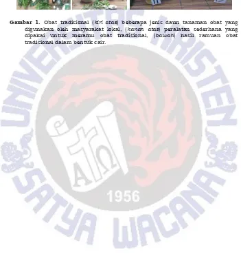 Gambar 1. Obat tradisional (kiri atas) beberapa jenis daun tanaman obat yang digunakan oleh masyarakat lokal, (kanan atas) peralatan sederhana yang 