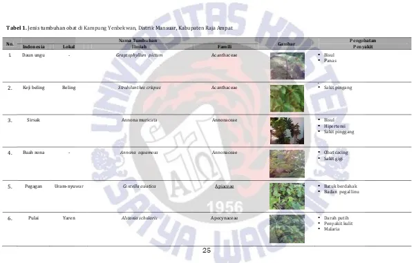 Tabel 1. Jenis tumbuhan obat di Kampung Yenbekwan, Distrik Mansuar, Kabupaten Raja Ampat 