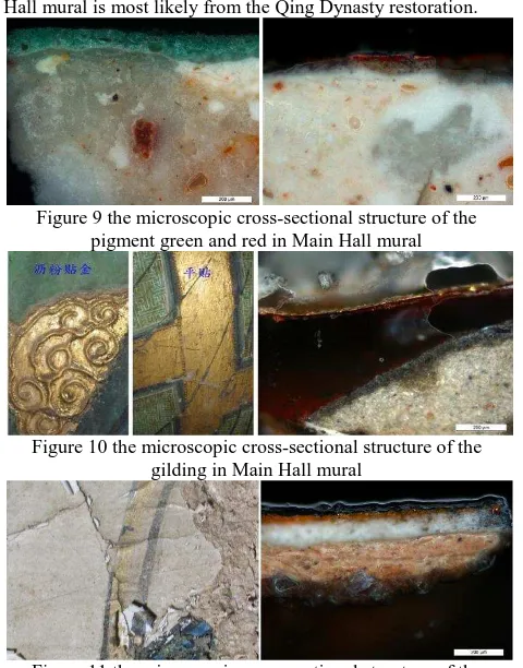 Figure 11 the microscopic cross-sectional structure of the gilding in Guan Yin Hall mural 