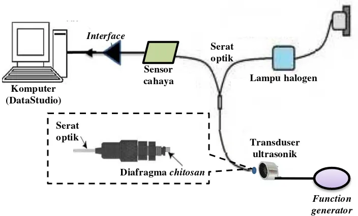 Gambar 1 Rangkaian (set-up) diafragma komposit chitosan sensor akustik serat optik pada model mikrofon (modifikasi Bucaro & Lagakos 2001) dan model pengujian terhadap tekanan akustik melalui respon tegangan 