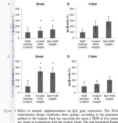 Figure 3 Effect of tempeh supplementation on IgA gene expression. The 28-day 
