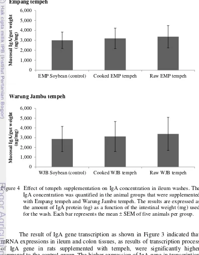 Figure 4  Effect of tempeh supplementation on IgA concentration in ileum washes. The 