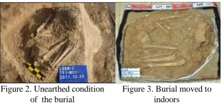 Figure 2. Unearthed condition of  the burial  