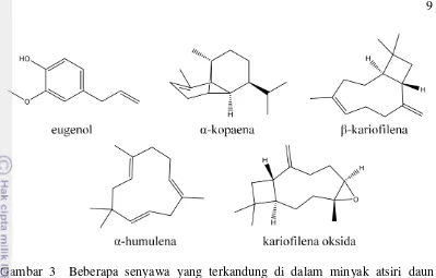 Gambar 3  Beberapa senyawa yang terkandung di dalam minyak atsiri daun 