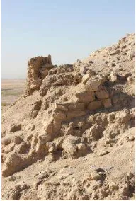 Figure 6 - Plan of Kushaf archaeological site based on FORMOSAT-2 band 1 