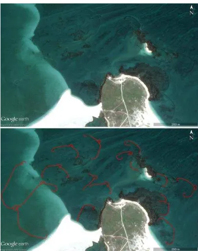 Figure 1. GeoEye-2 image (© GeoEye Image Copyright 2015,  DigitalGlobe) from GoogleEarth Pro (upper) and red polylines indicate manual extractions of STWs (lower)  