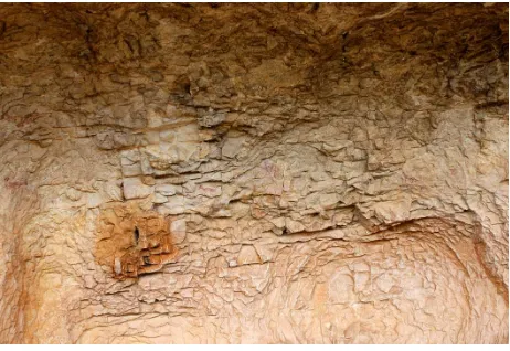 Figure 1. Partial view of Remigia Cave targeting Shelters IV-VI 