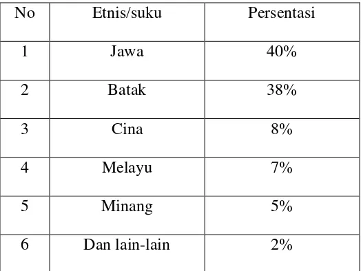 Tabel 6 Penduduk kecamatan Bagan Sinembah menurut Etnis/suku (dalam persen) 