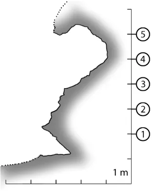 Figure 8. Orthophotos processed from the shaded 3D model 