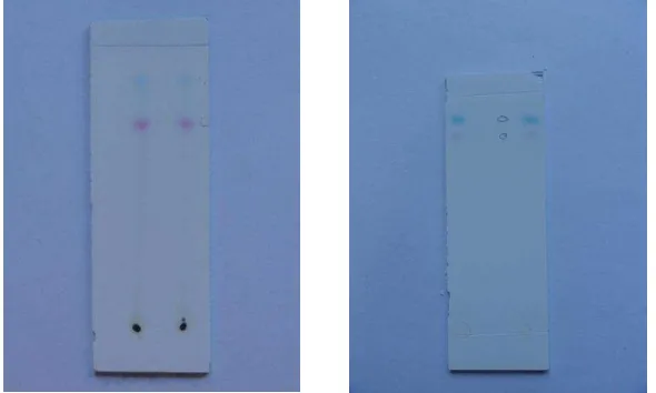 Fig. 6 Silica gel plate recovered from developing solvent (left: control sample, right: W2) 