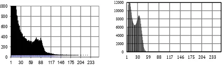 Figure 4 - Histogram of the difference image, which reflects only the brightness change 