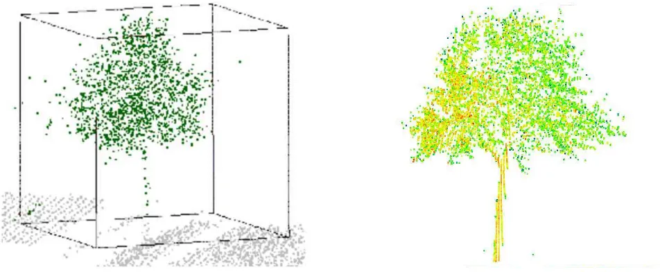 Figure 1: Left Points classiﬁed as trees (green points) and other (gray points). Right Identiﬁed individual trees (solid colors) in theirbounding box.