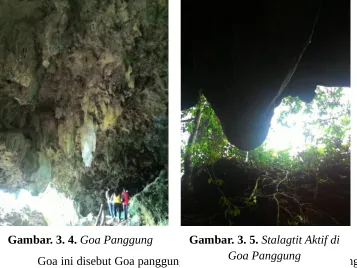 Gambar. 3. 4. Goa Panggung