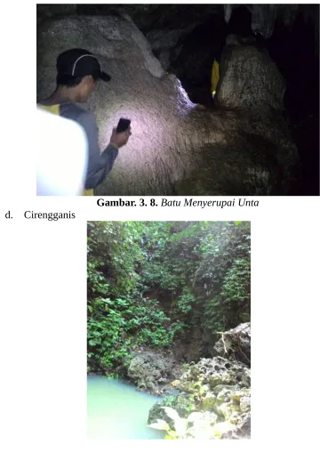 Gambar. 3. 8. Batu Menyerupai Unta