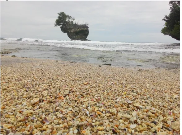 Gambar. 3. 18. Pantai Pasir Putih