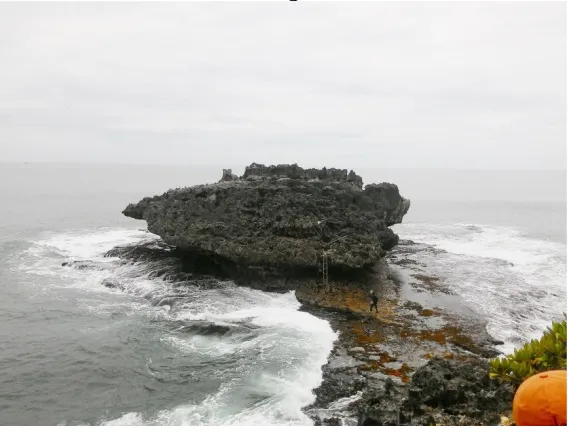 Gambar. 3. 22 Batu Karang Besar