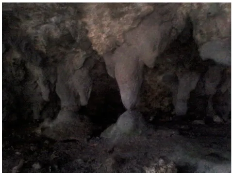 Gambar 2.10 Tiangan di gua Mimi