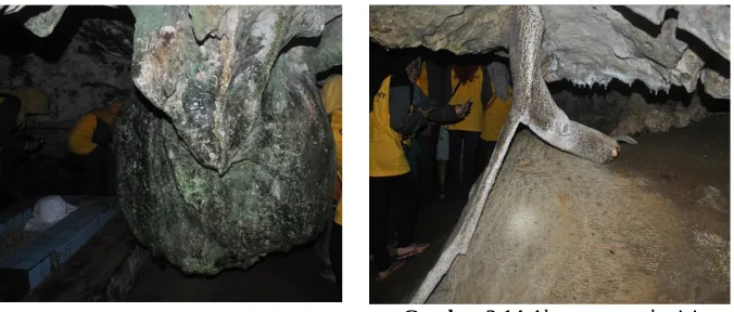 Gambar 2.14 Akar yang terlapisi