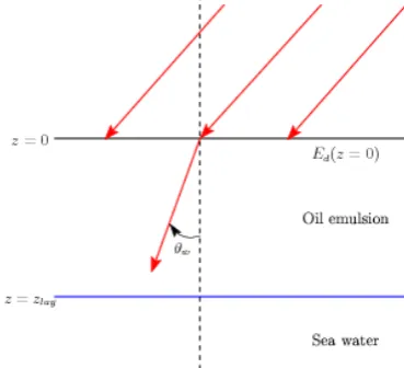 Figure 1: Illustration of the model developped in (Sicot et al.,2014) and the notations used