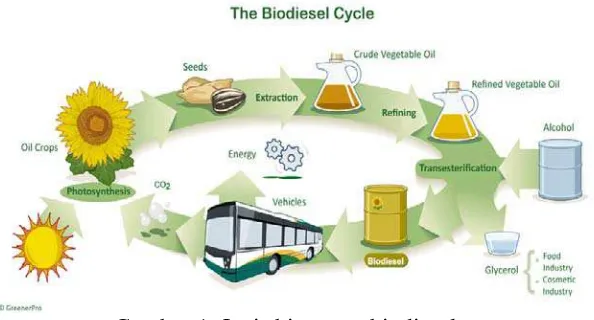 Gambar 1. Jenis biomassa biodiesel  