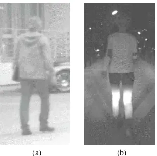 Figure 2: Images of a vehicle camera system with original reso-lution, but increased brightness