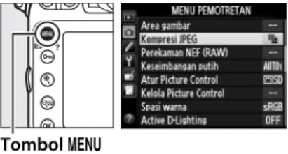 Gambar NEF dikompresi menggunakan  algoritme yang dapat dibalik, mengurangi  ukuran file hingga sekitar 20-40% tanpa  mempengaruhi kualitas gambar