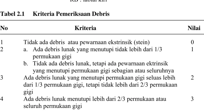 Tabel 2.1  Kriteria Pemeriksaan Debris 