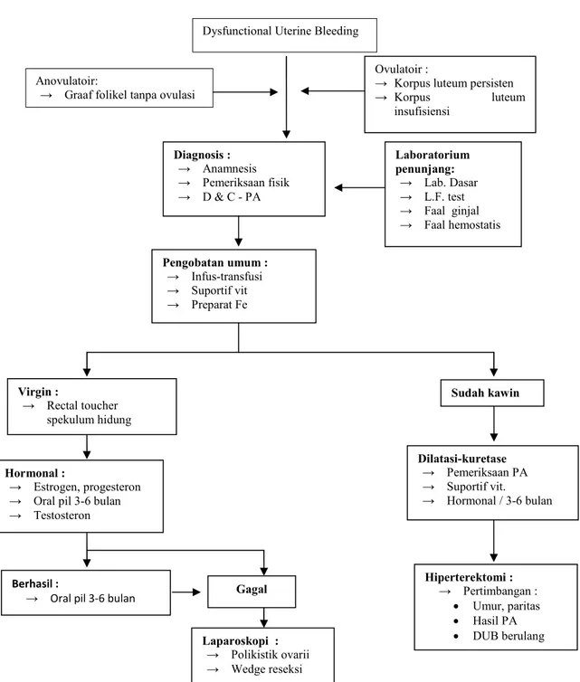 Gambar 2.1 Tata laksana penanganan dysfunctional uterine bleeding menurut  Manuaba (2008) 
