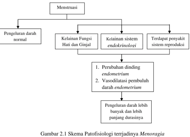 Gambar 2.1 Skema Patofisiologi terrjadinya Menoragia   Sumber : Wiknjosastro (2011) 