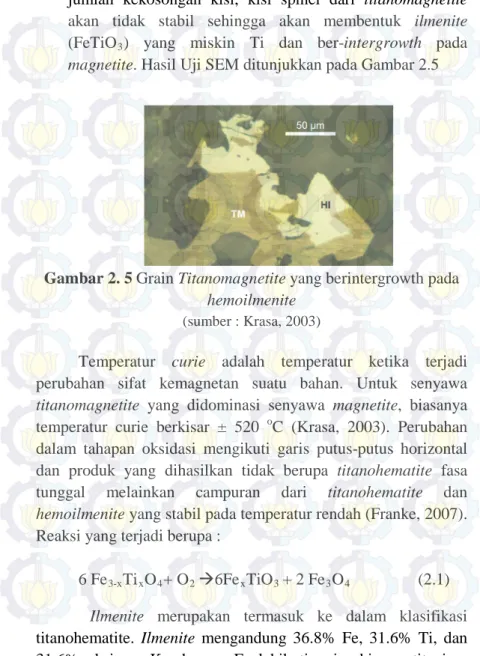 Gambar 2. 5 Grain Titanomagnetite yang berintergrowth pada 