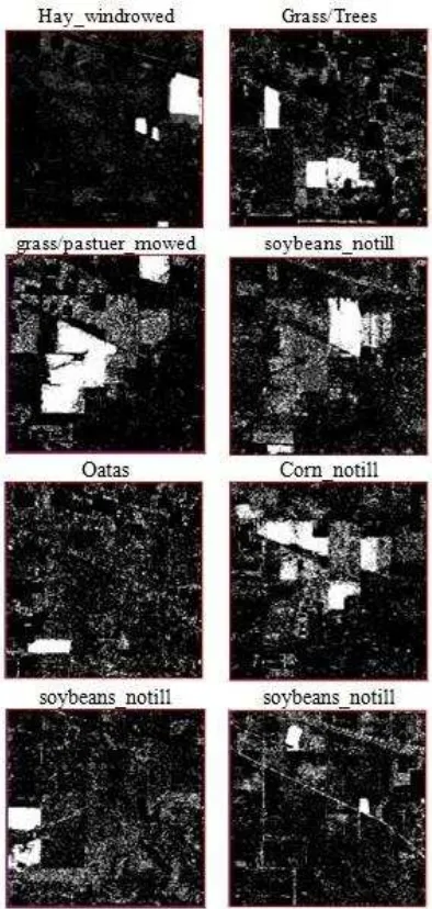 Figure 8. The fraction images of classes from the LS unmixing which is performed on the MNF bands