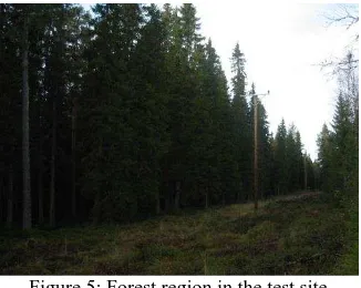 Figure 5: Forest region in the test site 