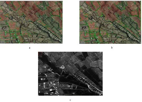 Fig 2. Results for parts of image 1(NIR band instead of Red band), a) optimum OBC (green edges are boundaries of vegetation (merged)), b) ground truth image, c) pixel based classification  