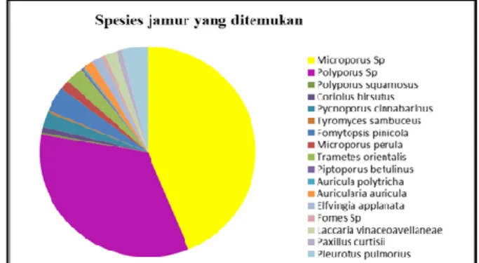 Gambar 2. Diagram jenis-jenis jamur di cagar alam Gunung Mutis. 
