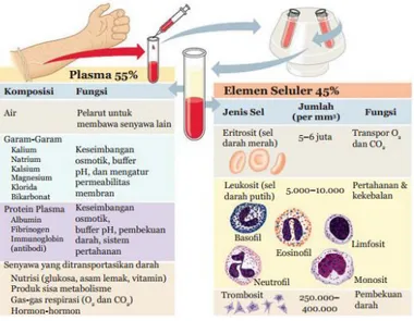 Gambar 2.1 Komponen penyusun darah  (Sumber: Campbell et al, 2008)  1) Sel-sel darah 
