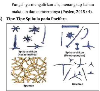 Gambar  2.2  Tipe-tipe  spikula  pada  tubuh  porifera  (sumber : Poslen, 2015 : 4). 