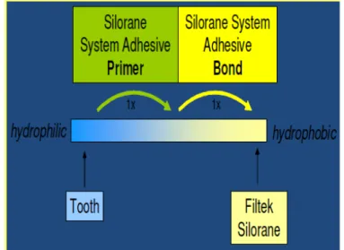 Gambar 6. Mekanisme perlekatan sistem adhesif silorane