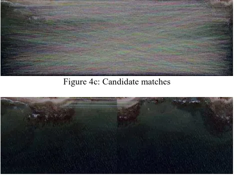 Figure 4c: Candidate matches 
