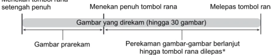 Gambar yang direkam (hingga 30 gambar)