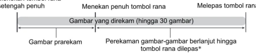 Gambar yang direkam (hingga 30 gambar)