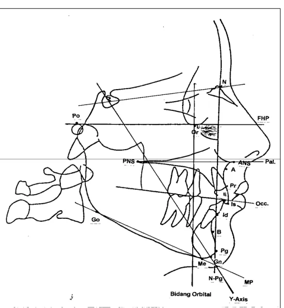 Gambar 2. Titik antropometri, garis dan bidang referensi 
