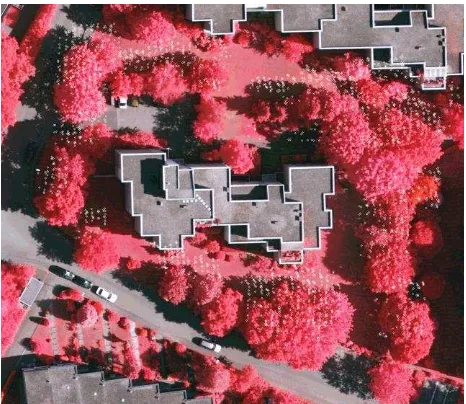 Figure 7: The miss match after registration of extracted trees from point cloud data onto the aerial image